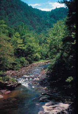 The beauty of the Appalachian mountains (Photo: U.S. Dept. of the Interior)