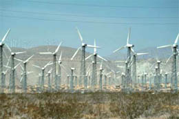 カリフォルニア州の風力発電地帯（写真　FreeFoto.com）