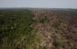 毎年何百万ヘクタールもの原生熱帯雨林が破壊される。違法な焼却の跡が見て取れる (AP Images)