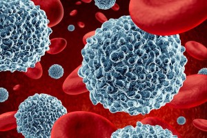 研究者たちはがん患者の白血球を遺伝子操作して、がんを攻撃するよう免疫システムをプログラミングしている (Shutterstock)