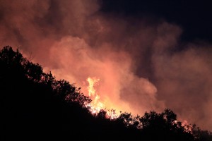 気候変動の結果、悪化が予想される森林火災。写真は３月にチリで発生した森林火災 (© AP Images) 