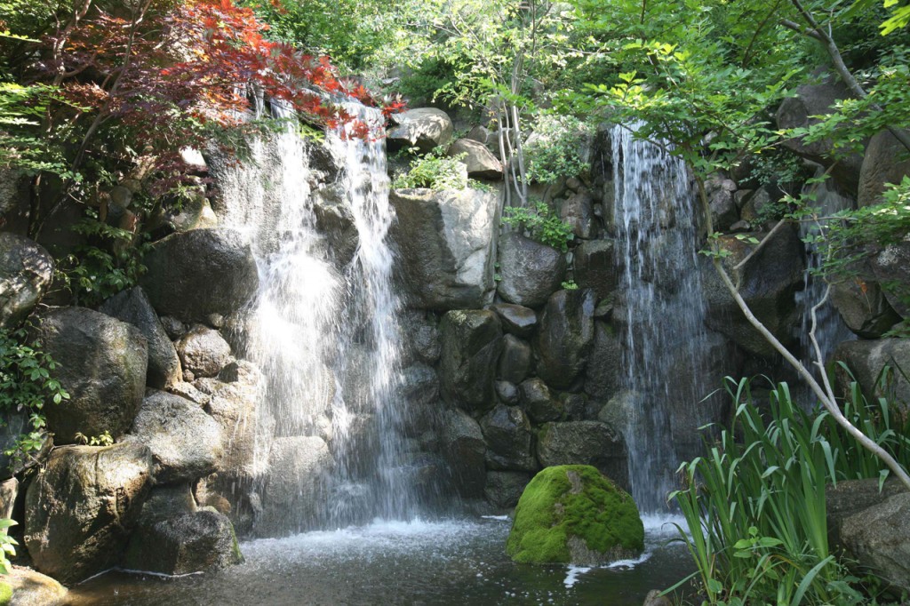 Rockford - Anderson Japanese Garden - 1280
