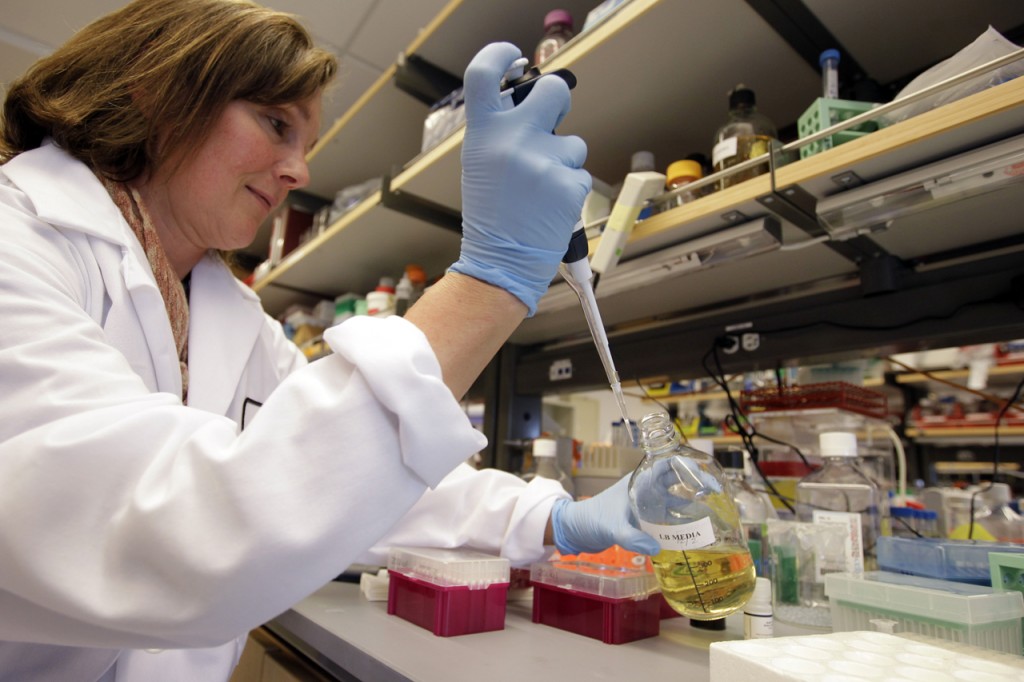 スタンフォード大学の幹細胞実験室 (© AP Images)