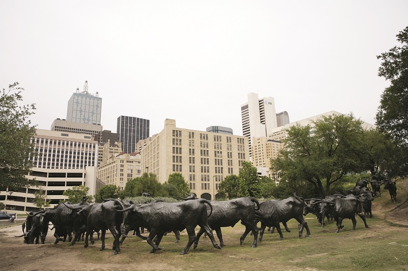Cattle drive sculpture at Pioneer Plaza