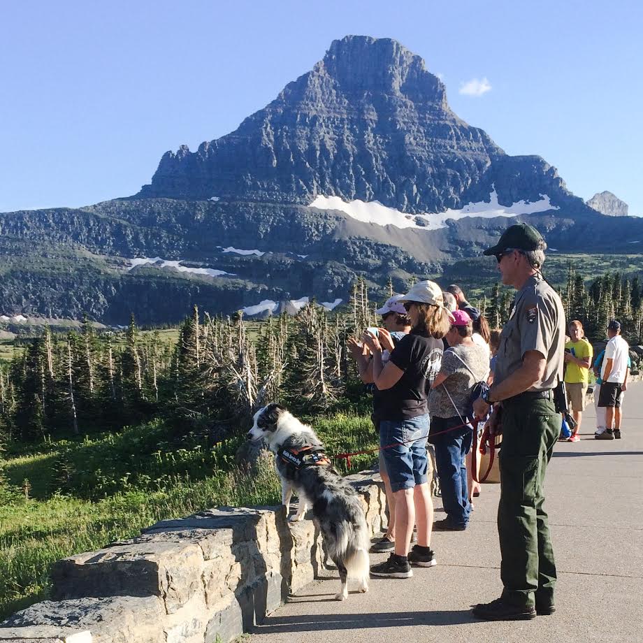 Gracie attracts tourists, giving the ranger a chance to interact with them. (NPS/A.W. Biel)