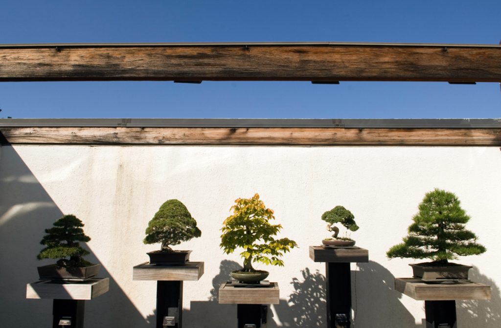 A row of bonsai trees awaits visitors at the National Bonsai and Penjing Museum, located within the U.S. National Arboretum in Washington. (© Pete Souza/Chicago Tribune/MCT Via Getty)