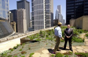 Chicago Mayor Richard M. Daley, left, talks with P. Allen Smith, host of a television garden show, about the roof-top garden on Chicago's City Hall, Friday, June 08, 2001. The rooftop is part of a pilot program aimed at reducing the city's temperature. (AP Photo/Stephen J. Carrera)
