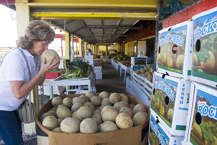 Picking the ripest Rocky Ford melon at a farm stand in La Junta (Photo by Matt Inden/Miles, courtesy of the Colorado tourism Office)
