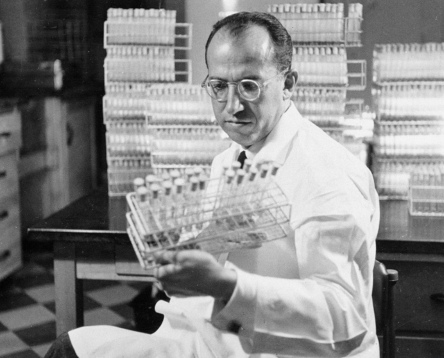 Dr. Jonas Salk in his lab in Pittsburgh (© AP Images)