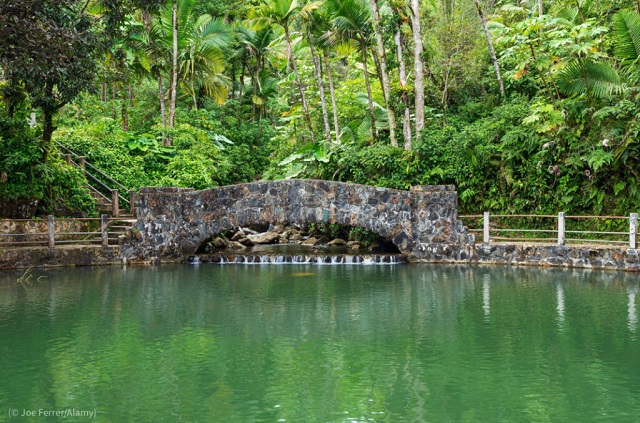 A bridge spans a stream at the edge of a pool on the Baño de Oro trail in El Yunque National Forest in Puerto Rico in March 2020. (© Joe Ferrer/Alamy)